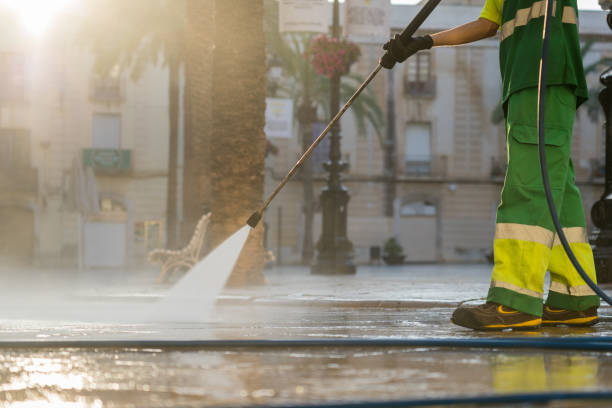 Best Soft Washing for Delicate Surfaces in Alamo Heights, TX